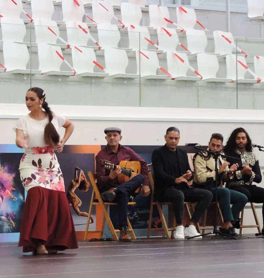 clases flamenco pamplona